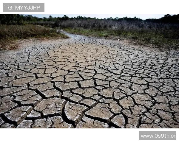 全球气候变化加剧极端天气频发 各国加强应对措施促可持续发展 全球气候变化加剧极端天气频发 各国加强应对措施促可持续发展